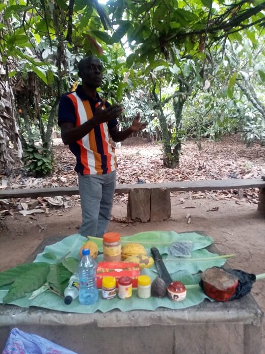 Learn all about the uses of cacao in Ghana at Odomankoma 