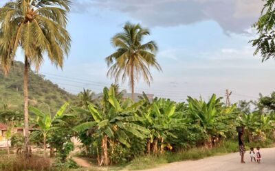 How to Plan a Trip to Ghana: A Step-by-Step Guide