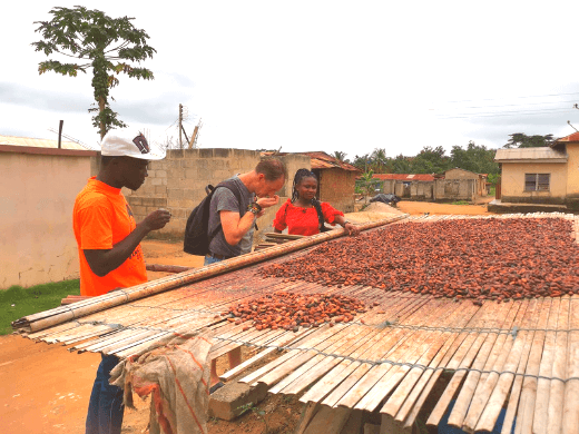 Many people depend on cocoa farming to make a living in Ghana, during the town tour the guide will explain a lot