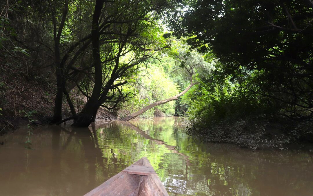 4 Hidden Destinations in Northern Ghana: From Sacred Caves to Hippos