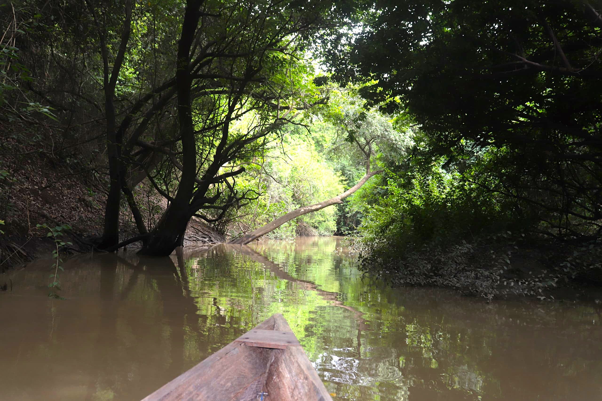 een van de prachtige momenten tijdens onze reis op zoek naar onbekende bestemmingen in Ghana, een boot safari in het noorden