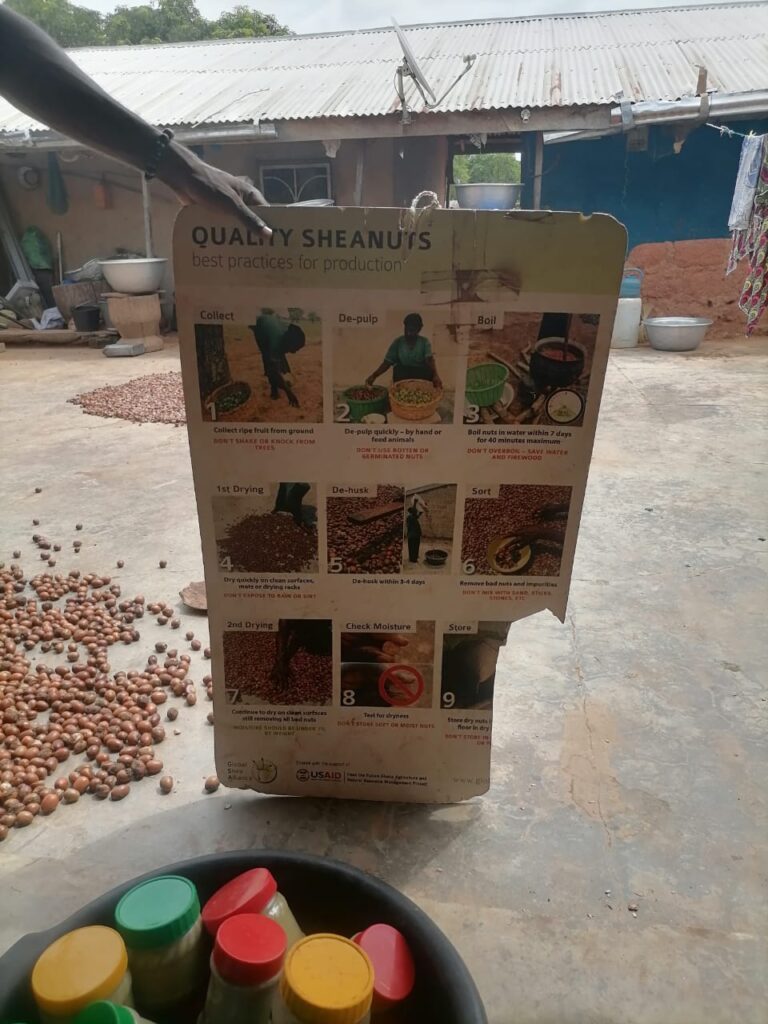 we leren hoe sheabutter gemaakt wordt tijdens een dorpstour in noord Ghana